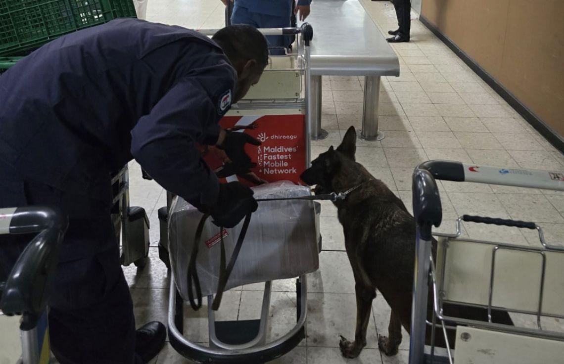 މަރުގެ އަދަބު ދިނުމުގެ ގާނޫނަށް އަމަލުކުރަން ފަށައިފި