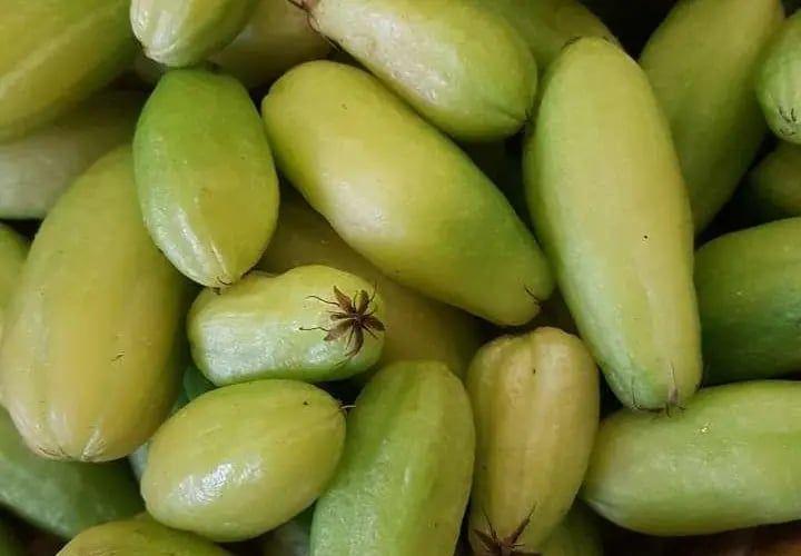 ބިލިމަގެއް އެއްލައިނުލާތި