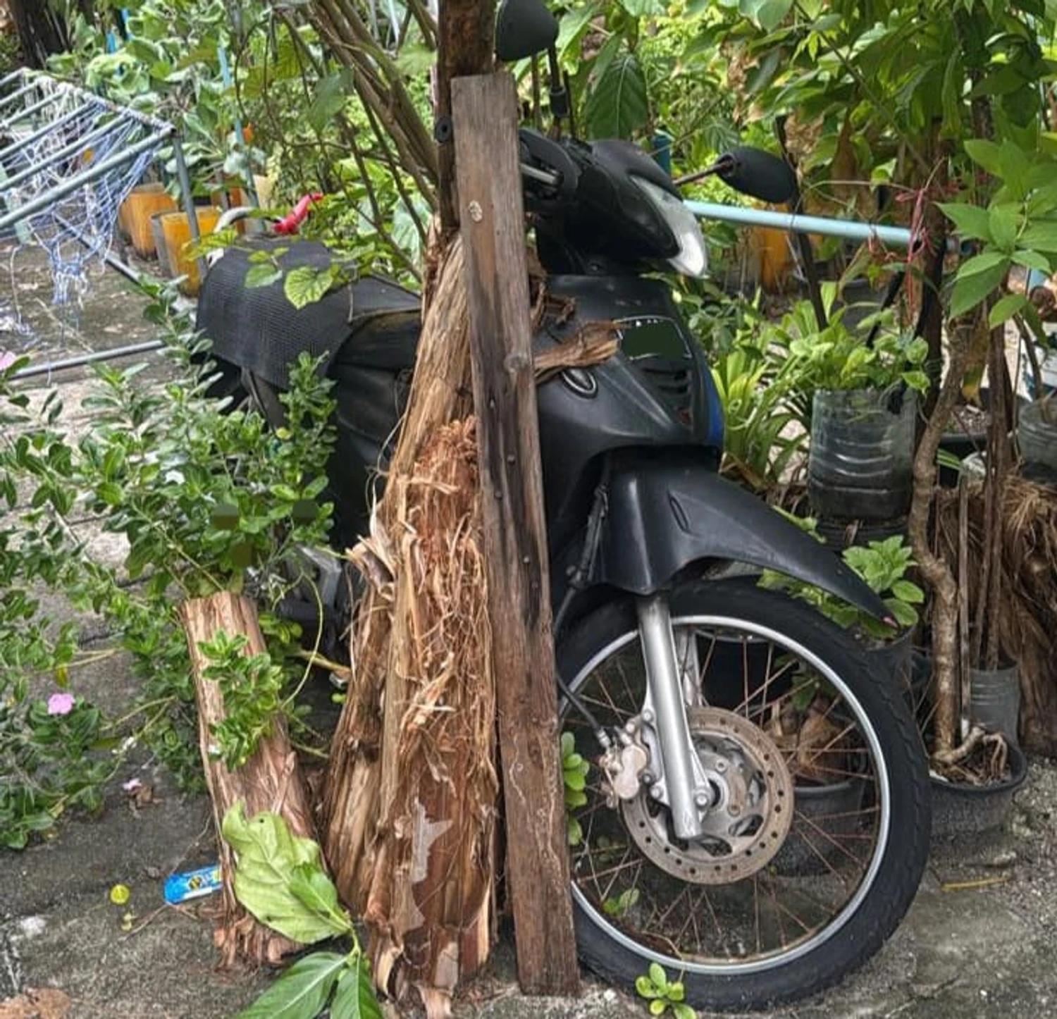 ހުޅުމާލޭގައި ބޭނުންނުކޮށް ގިނަދުވަސް ވެފައިވާ އުޅަނދުތަކުގެ މައުލޫމާތު  އެއްކުރަން ފަށައިފި