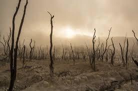 ބޭކާރު ވާހަކަތަކާއި ކަންކަމުން ދުރުހެލިވުން 