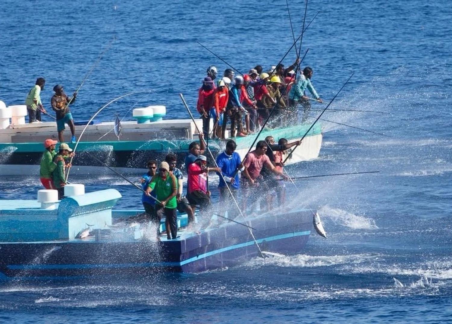 އެންމެ ފަހުގެ ޓެކްނޮލޮޖީ ހިމެނޭ މަސްވެރި އުޅަނދެއްގެ ޑިޒައިން ކުރުމަށް ހުޅުވާލައިފި