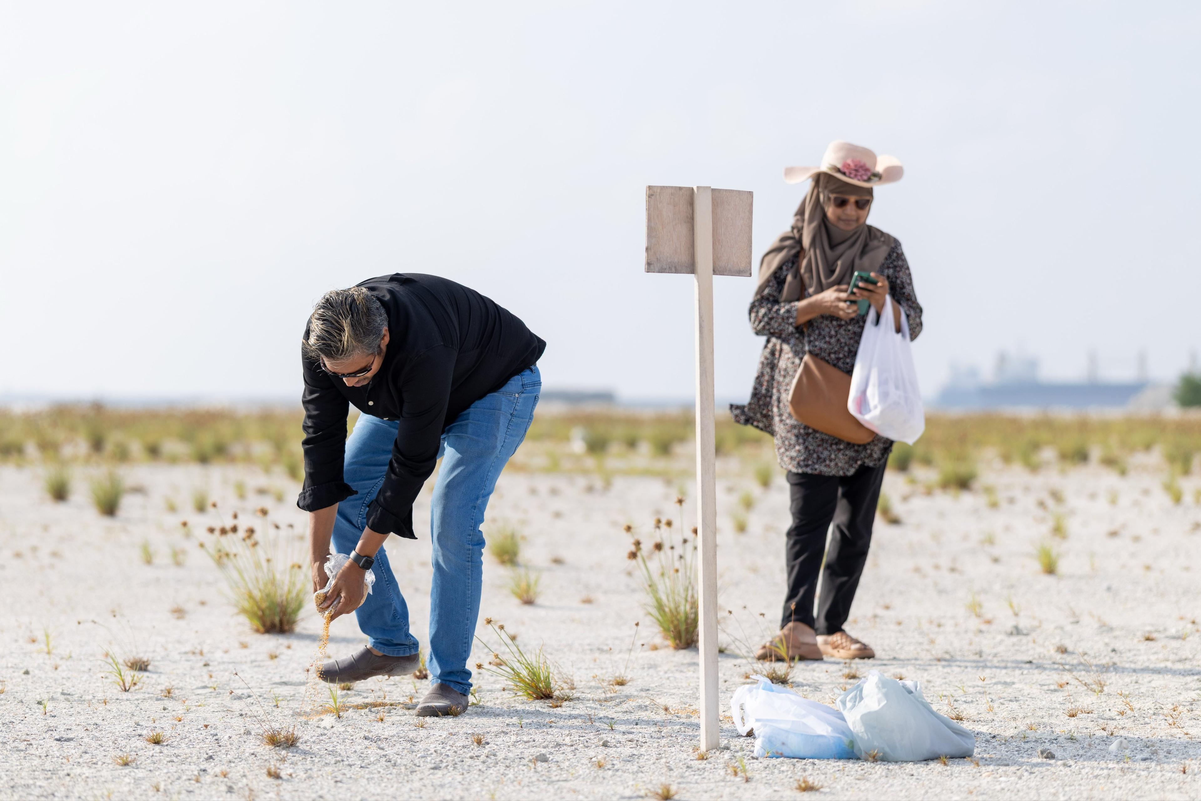 ގުޅިފަޅުން 41 ގޯތި ހަވާލުކޮށްފި