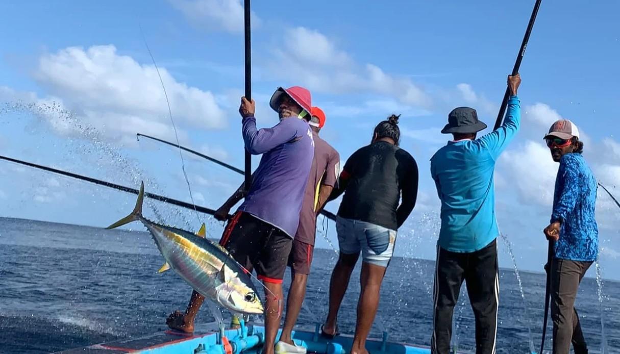 89 މަސްވެރިއަކަށް ބީއެމްއެލްގެ ލޯނު ދީފި