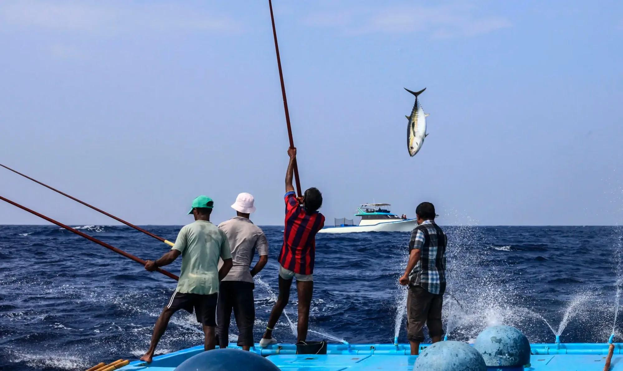 46 ވަނަ މަސްވެރިންގެ ދުވަހުގެ ޚާއްޞަ އެވޯޑުތަކަށް ކުރިމަތިލުމުގެ ފުރުޞަތު ހުޅުވާލައިފި