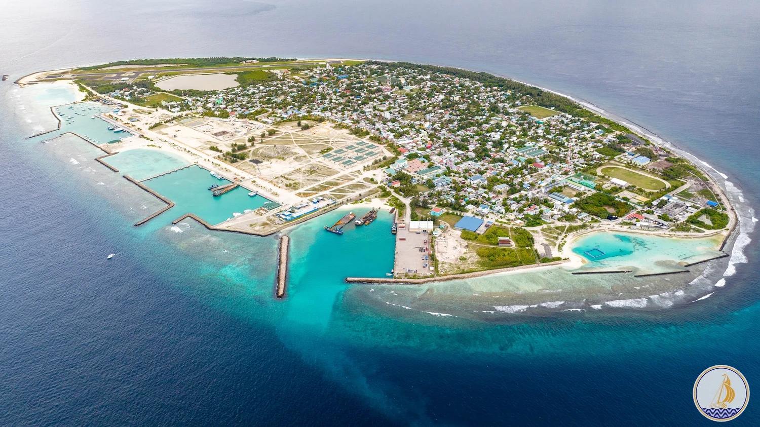 ކުޅުދުއްފުށީގައި އުޅޭ މަގުމަތީ ބުޅާތައް ނިއުޓާކުރުމުގެ ޕްރޮގްރާމެއް ފަށައިފި