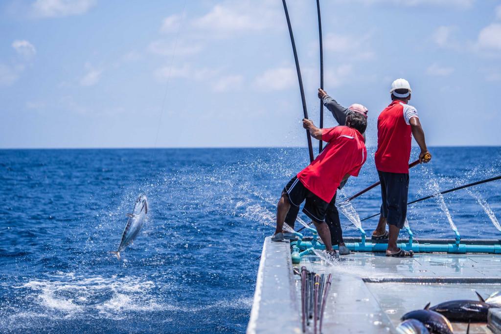  ސެޕްޓެންބަރު މަހު ކިރުވި މަހަށް މިފްކޯއިން 27 މިލިއަން ރުފިޔާ ދޫކޮށްފި