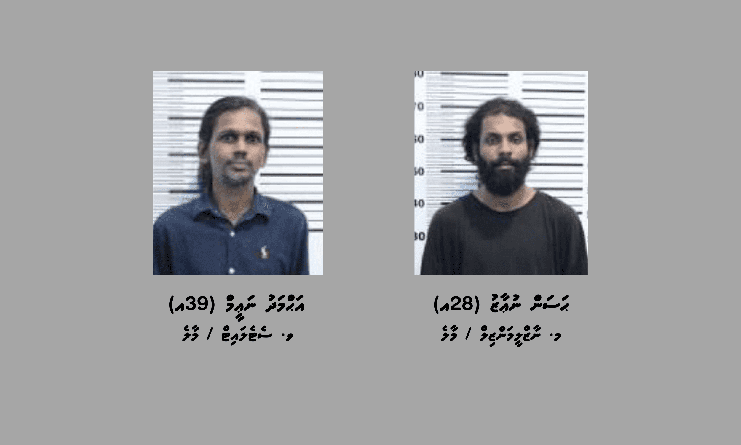 ކުޑަ ކުއްޖަކުލައްވައި މަސްތުވާތަކެތި އުފުލުވި ދެ މީހަކު ހައްޔަރުކޮށްފި