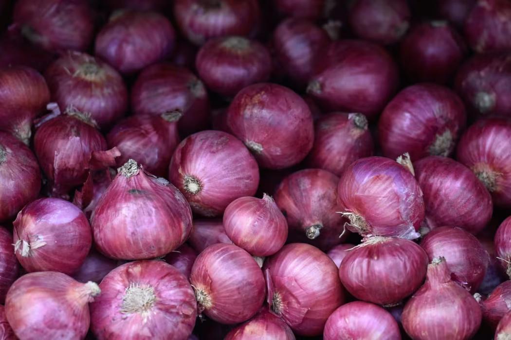 އެސްޓިއޯ އިން ފިޔާ އަލުވި އަގުހެޔޮކޮށްފި