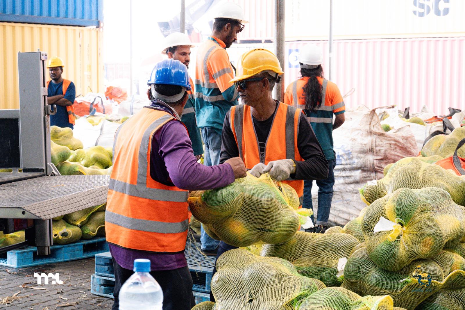 މިމަހުގެ ފުރަތަމަ ހަފުތާގައި 33،000 އަށްވުރެ ގިނަ  ޓަނުގެ މުދާ އެމްޕީއެލް އިން ކްލިއާކޮށްފި