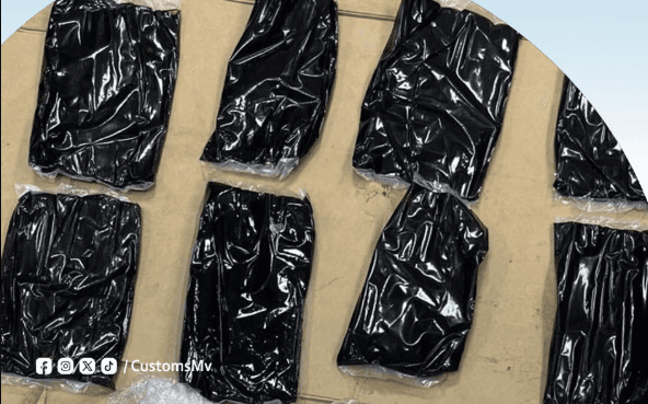 ވައިގެމަގުން އެތެރެކުރި 6.7 ކިލޯގެ މަސްތުވާތަކެތި އަތުލައިގެންފި