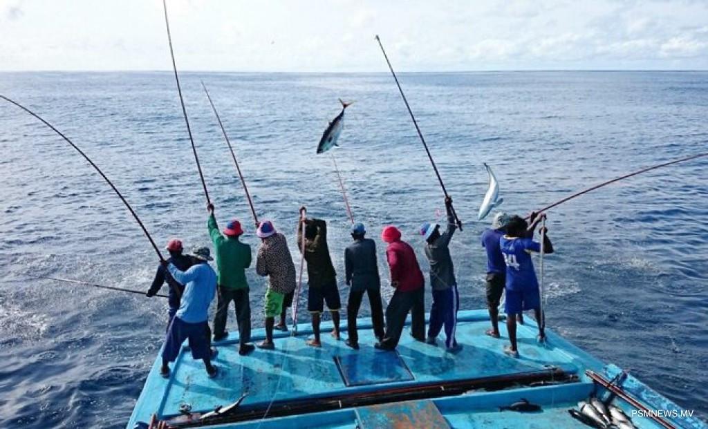 ނިމި ދިޔަ ޖަނަވަރީމަހު  މަހުގެ އެކްޕޯޓް ދަށަށް