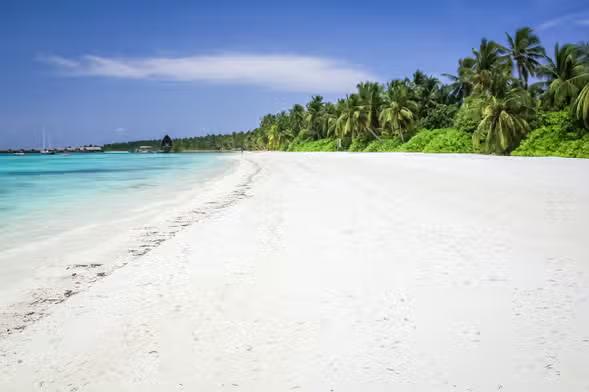 ފީނަން ގޮސް އުޅުނު މީހާކު ނިޔާވެއްޖެ 