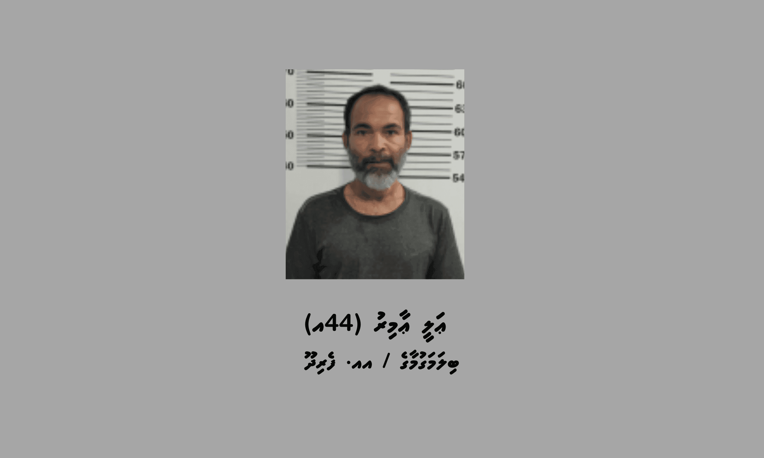 އއ. ފެރިދޫއަށް މަސްތުވާތަކެތި އެތެރެކުރި މީހަކު ހައްޔަރަށް