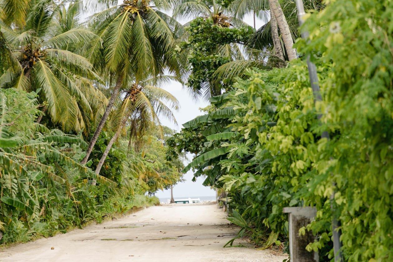 ނޮޅިވަރަމްގެ މަގުތައް ޒަމާނީ ފެންވަރަށް ތަރައްގީ ކުރަނީ