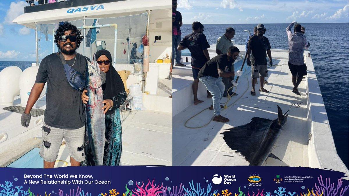" ފަރުމަސްވެރިކަމުގެ މުބާރާތް" 91 ޓީމާއެކު ފަށައިފި