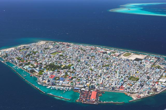 މާލެ ސިޓީ، ތޮއްޖެހުން ކުޑަކުރުމަށް ސިޓީ ކައުންސިލުން ސަރވޭއް ފަށައިފި