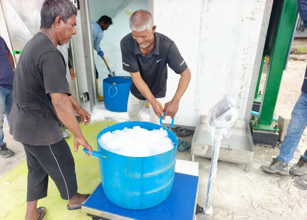 ކަނޑުއޮތްގިރިން މަސްވެރިންނަށް އައިސް ވިއްކަން ފަށައިފި