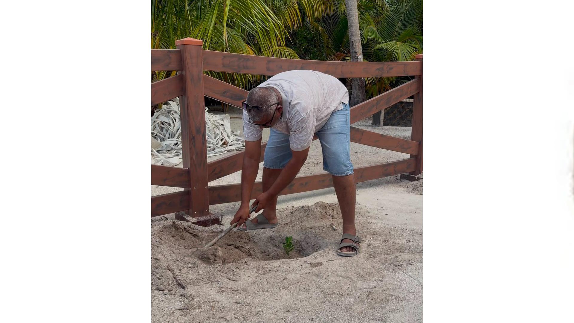 5 މިލިއަން ގަސް އިންދުމުގެ މަޝްރުޢޫގެ ދަށުން  މަތިވެރީގައި ގަސް އިންދުމުގެ ހަރަކާތެއް