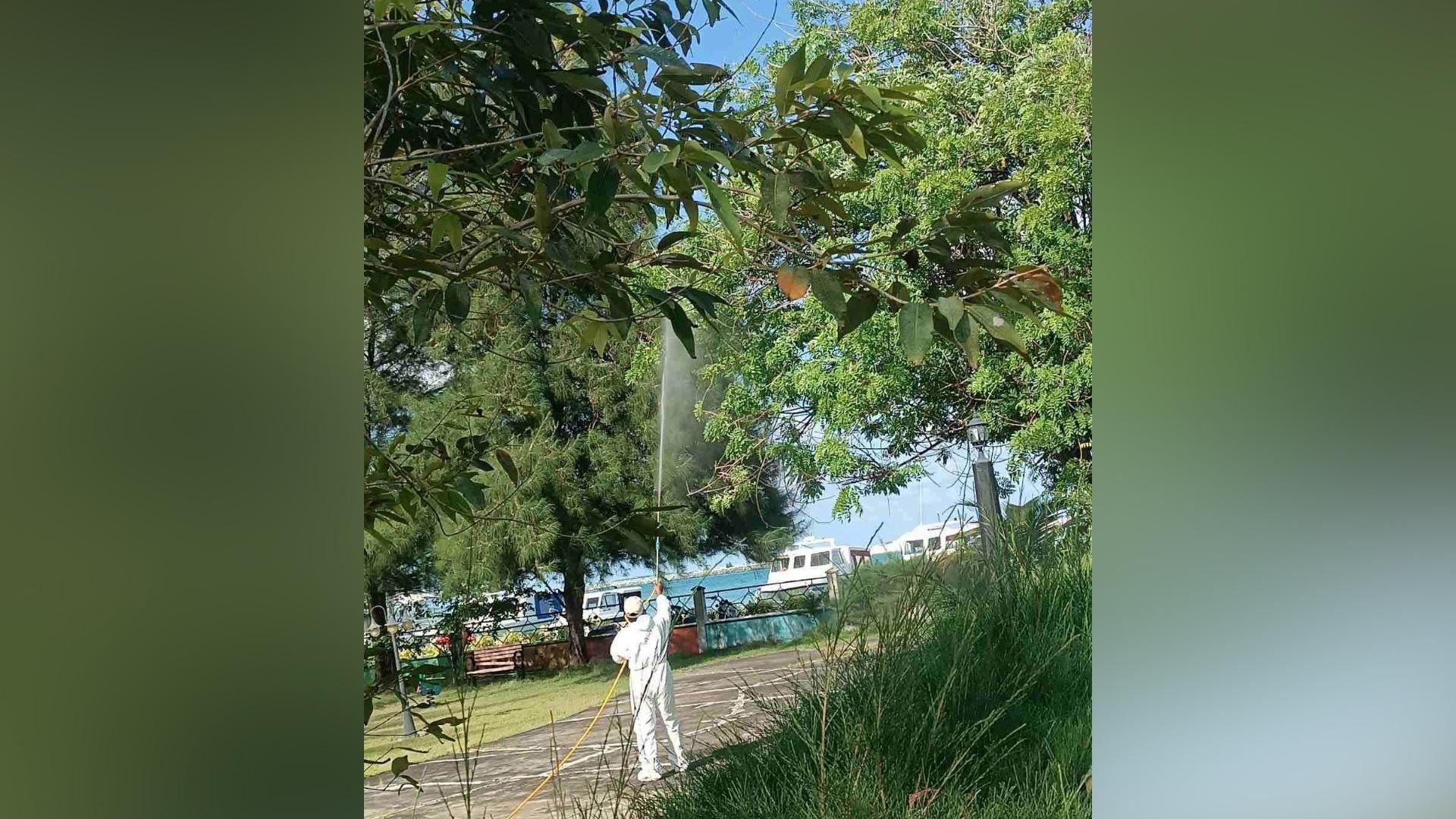 ހުވަނީގެ އުނދަގޫ ބޮޑުވާތީ ތިނަދޫގައި ފޮގްކުރުމުގެ ހަރަކާތެއް ކައުންސިލުން ކުރިއަށް ގެންގޮސްފި 