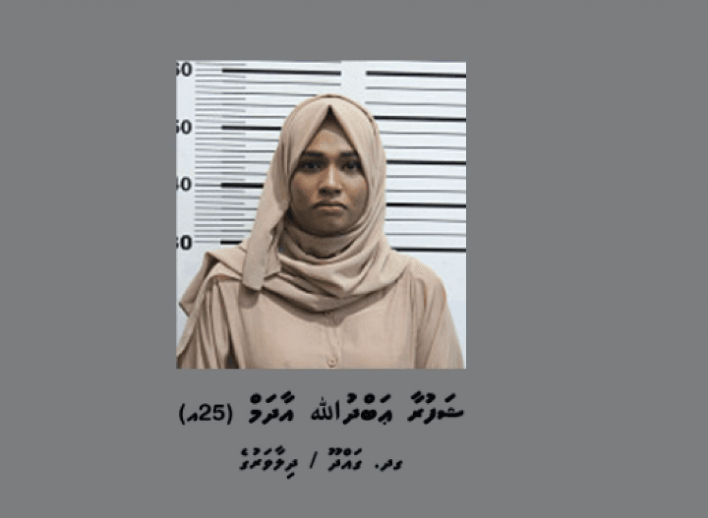 ވަގު ޑޮލަރު ގެންގުޅުނު ދިވެހި އަންހެނަކު ޖަލަށް!