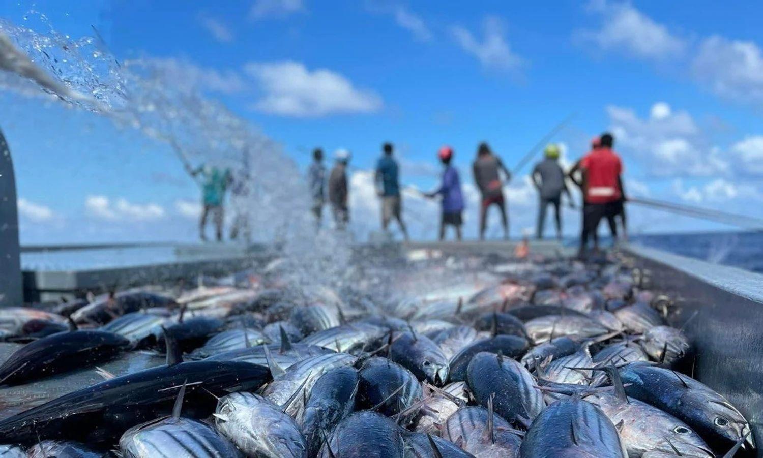 ޒުވާނުން މަސްވެރި ދާއިރާއަށް ނެރުމަށް މަސްވެރިންގެ ދަފްތަރު މުހިންމު 