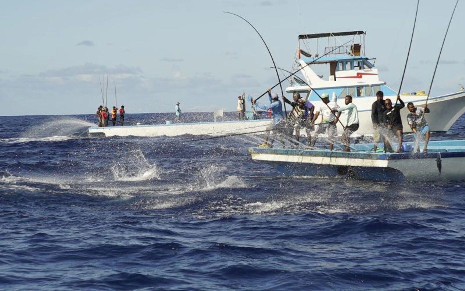 މޫސުން ގޯސްވުމުގެ ސަބަބުން މަހަށްދިޔަ ދޯނިތަކުގެ އަދަދު ދަށްވެއްޖެ