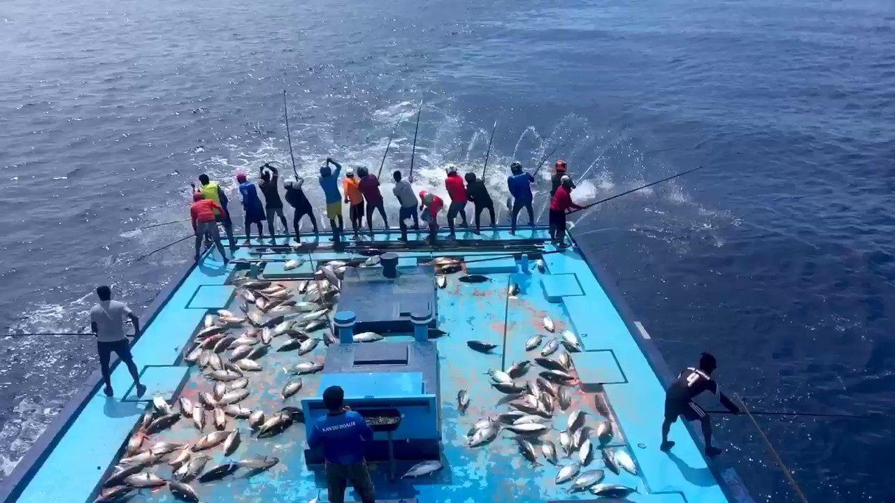 2022: ރާއްޖޭން މަސް ބޭރުކުރި އަދަދު ދަށް