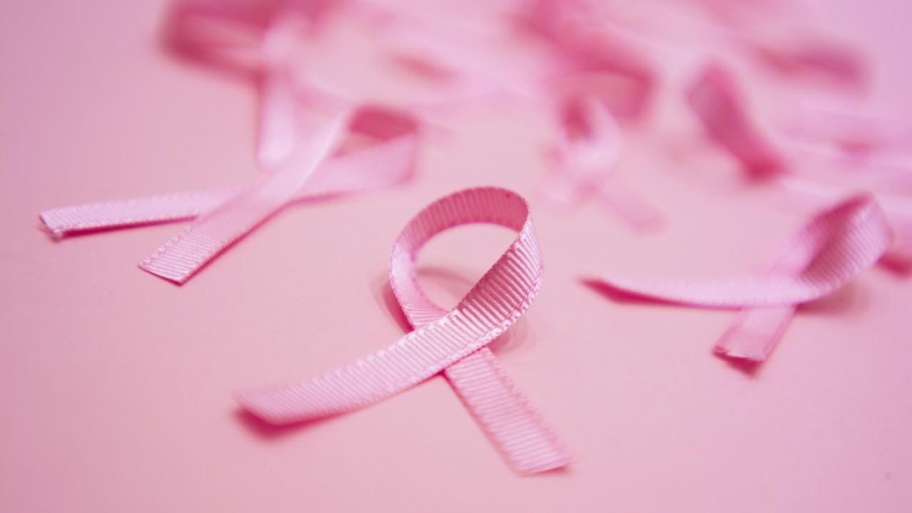 ފިޔާތޮށި ރިބަނުގެ މަސް ނިމެނީ، ރައްކާތެރިކަމުގެ ފިޔަވަޅުއަޅަން ފަށަން ރަނގަޅު ފުރުސަތެއް