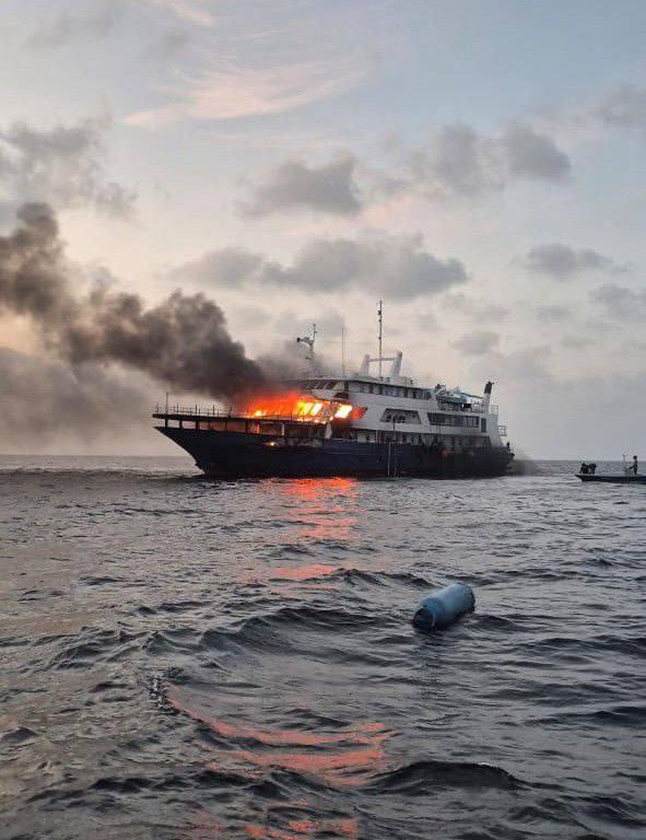 ސަފާރީއެއްގައި ރޯވެ އަނދަނީ